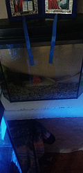 Продам аквариум